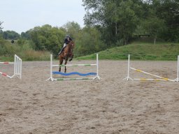 img_9749_web